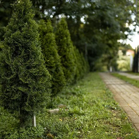 Enigma Сasa de vacaciones Vrdnik