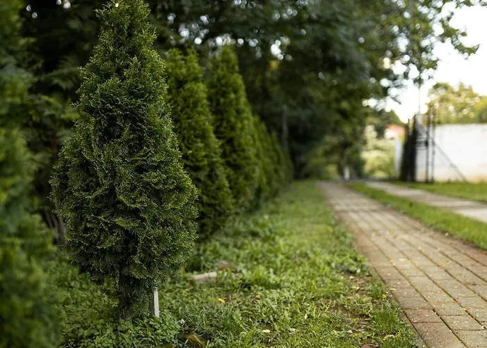 Enigma Dom wakacyjny Vrdnik